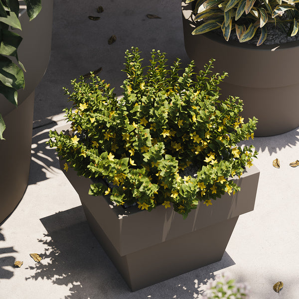 Studio Planters Vaso