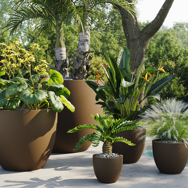 Studio Planters Cuenco