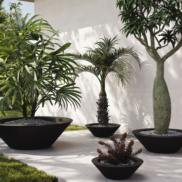 Studio Planters Centro