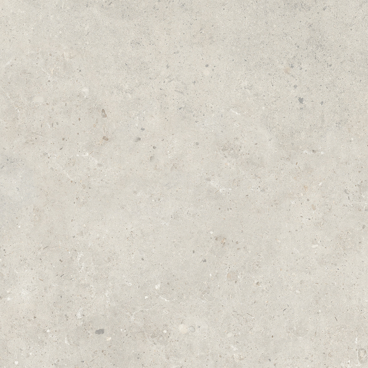 BRERA — zoom