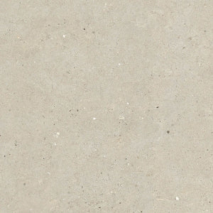 SILVER GRAIN
