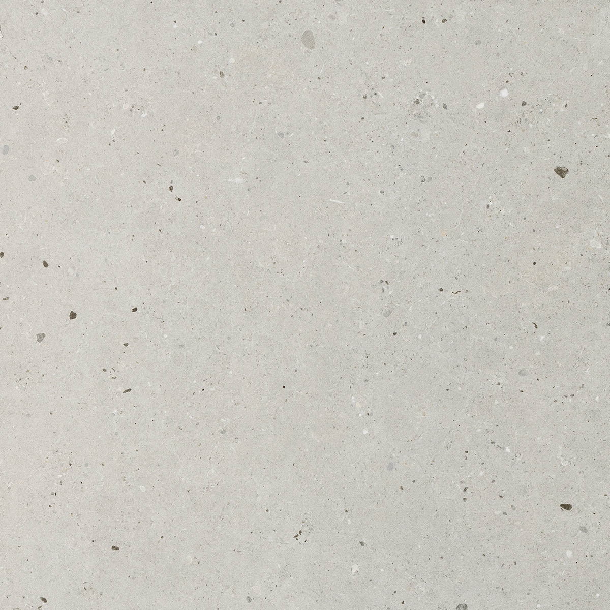 Zoomed image