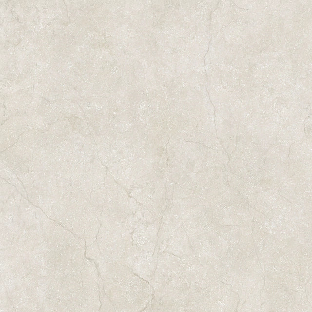 STONE LIFE — zoom