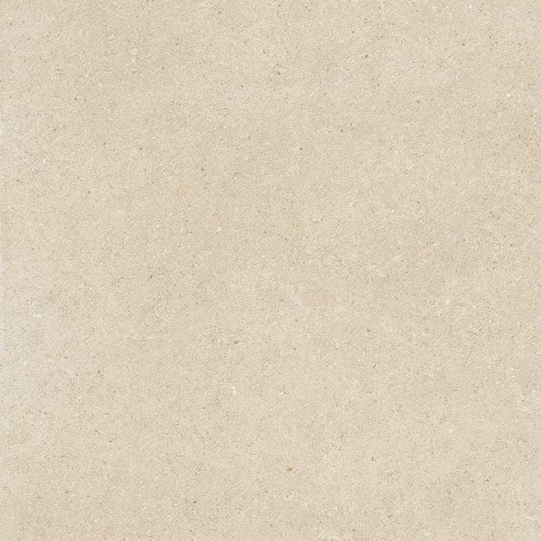LITHORA — zoom