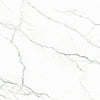 SEGESTA