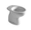 TERZA ETA WC a Terra