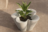 Agatha Planter