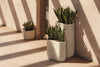 Milos Planters