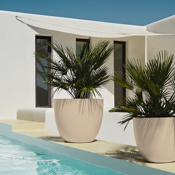 Studio Planters Cuenco