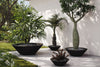 Studio Planters Centro