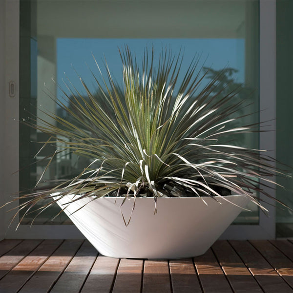 Studio Planters Centro