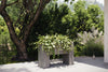 Studio Planters Muro