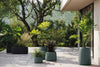 Studio Planters Organic Redonda