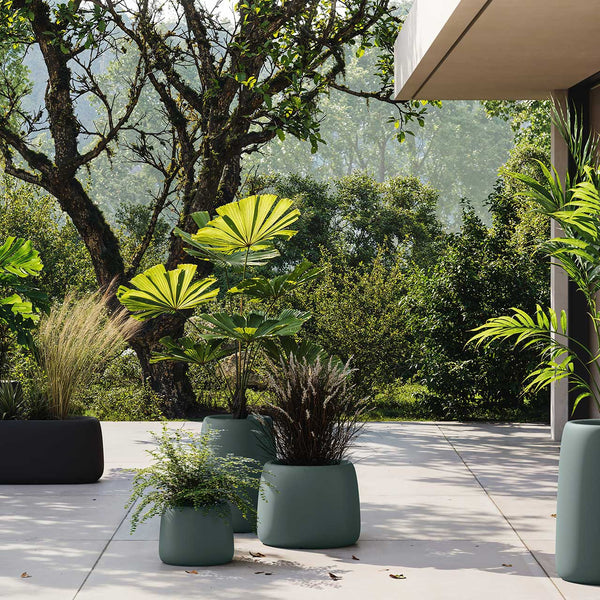 Studio Planters Organic Jardinera