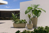Vases Fioriere
