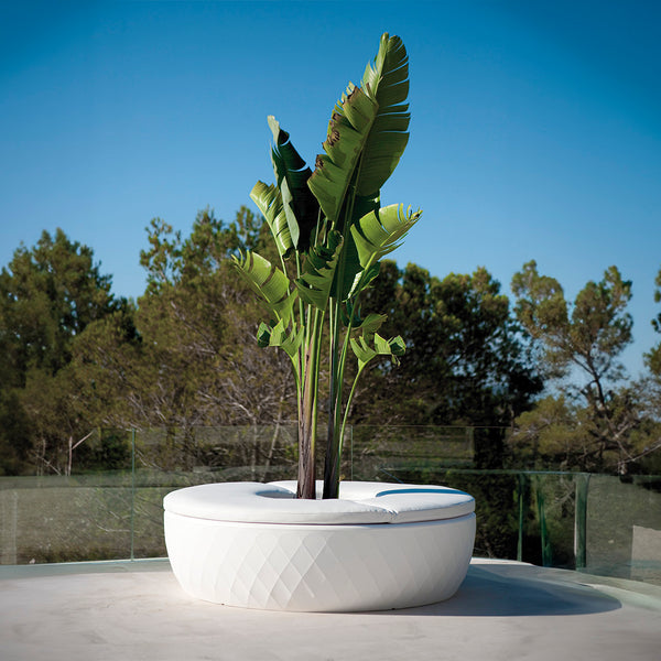 Vases Island