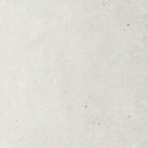 SILVER GRAIN