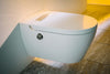 Cleanet Auria
