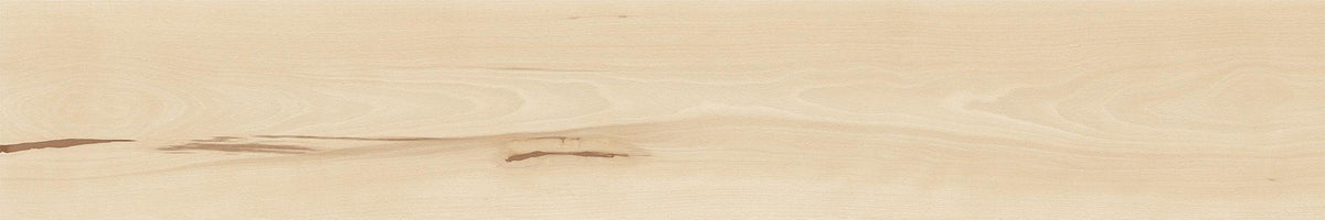 LOG CANSEI — zoom