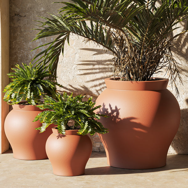 Venus Planters