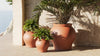 Venus Planters