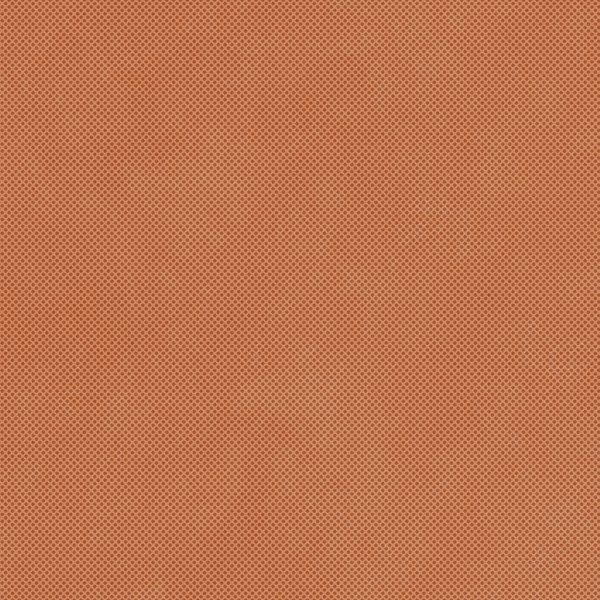 RETINA