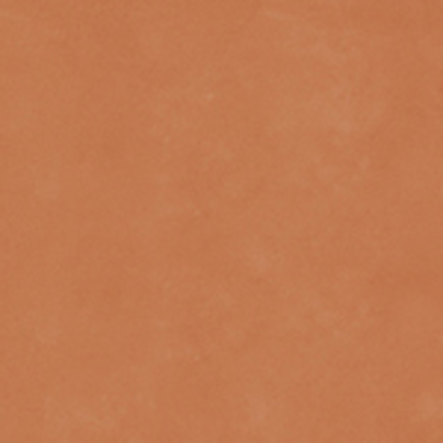 Zoomed image