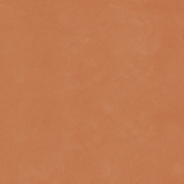 RETINA