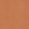 RETINA